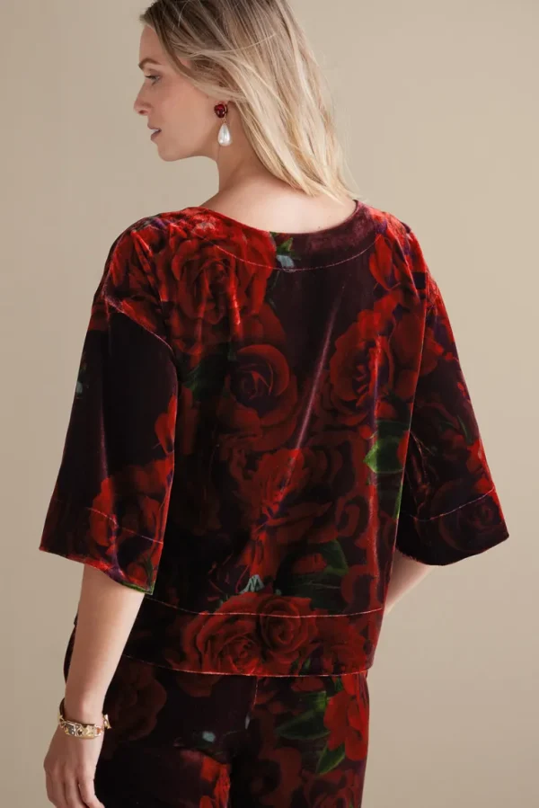 Soft Surroundings Aria Velvet Top- Tops