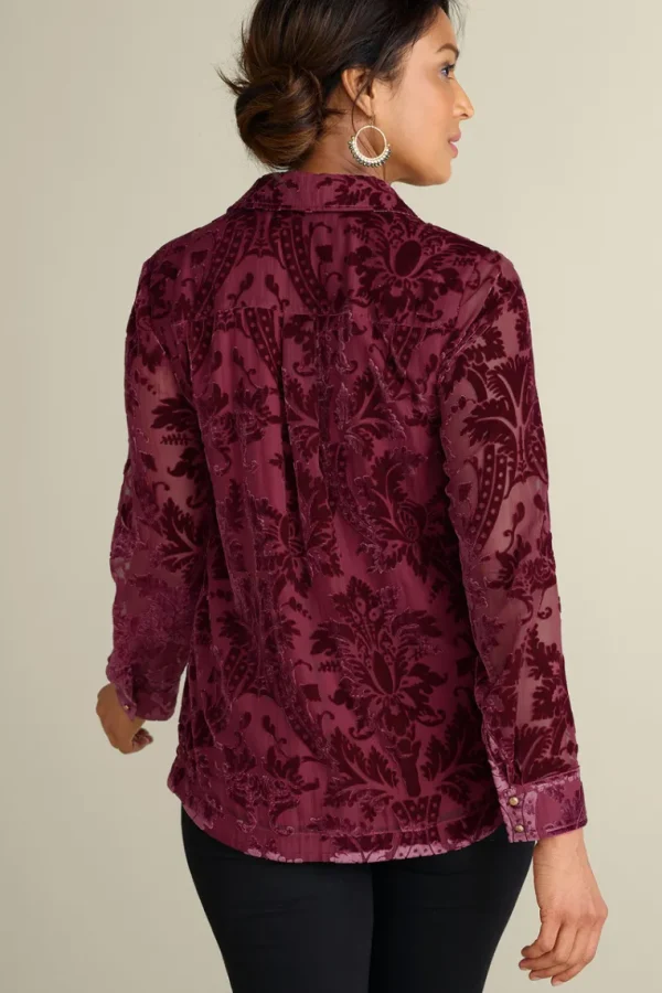 Soft Surroundings Floreat Velvet Shirt- Tops