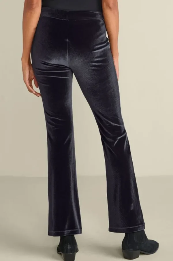 Soft Surroundings Gianna Velvet Bootcut Pants- Pants