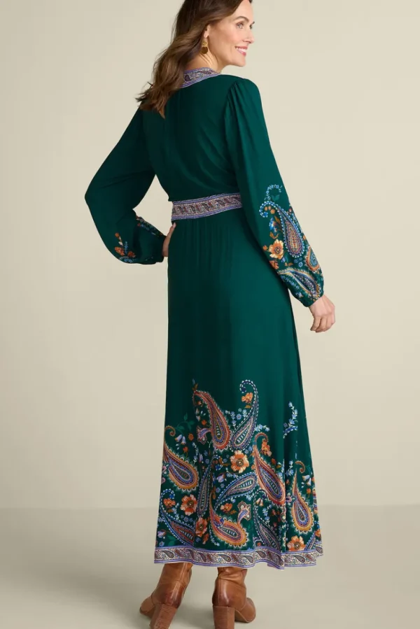 Soft Surroundings Parry Maxi Dress- Dresses