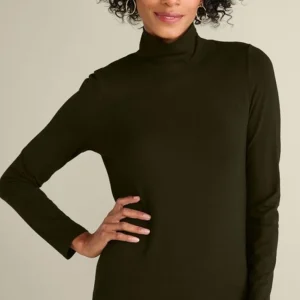 Soft Surroundings Sandie Knit Turtleneck- Tops